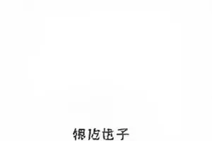 《路透速递》封面：片场外围围栏与远处亮着的灯组